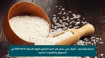 أسعار قياسية.. تعرف على سعر طن الأرز الشعير اليوم الأربعاء 8-10-2025 في الأسواق والتغيرات الأخيرة